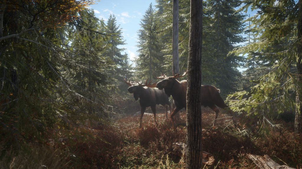 图片[1]-猎人：荒野的召唤/theHunter: Call of the Wild/支持网络联机-禅清颜资源网