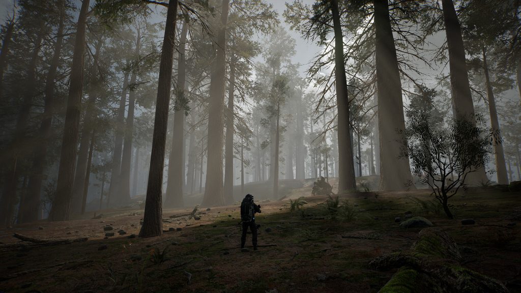 图片[5]-生命效应/LIFE EFFECT-禅清颜资源网